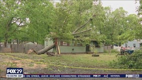 Tree falls into Gloucester County home during height of storm