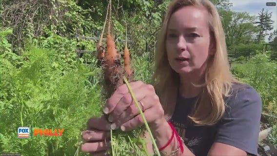 Tuesdays with Toni | Tips for fertilizer, dealing with bugs, more