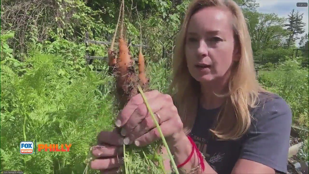 Tuesdays with Toni | Tips for fertilizer, dealing with bugs, more