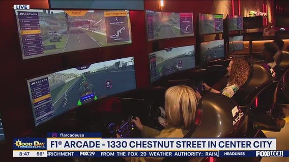 F1 Arcade Puts YOU In The Driver's Seat