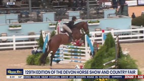 The Devon Horse Show & Country Fair