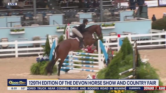 The Devon Horse Show & Country Fair