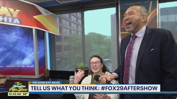 Good Day Gavel: Free Lawn Service