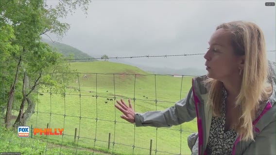 Traveling with Toni | Blue Ridge Mountain getaway