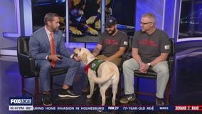 Ruff Ride holds fundraiser for service dogs, veterans