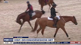 Plenty To Do At The Devon Horse Show & Country Fair