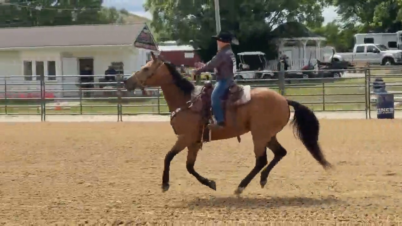 Good Day Uncut: NJ High School Rodeo Championships