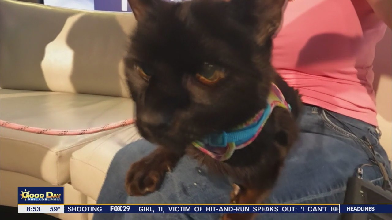 Rescue Me | Meet Marco