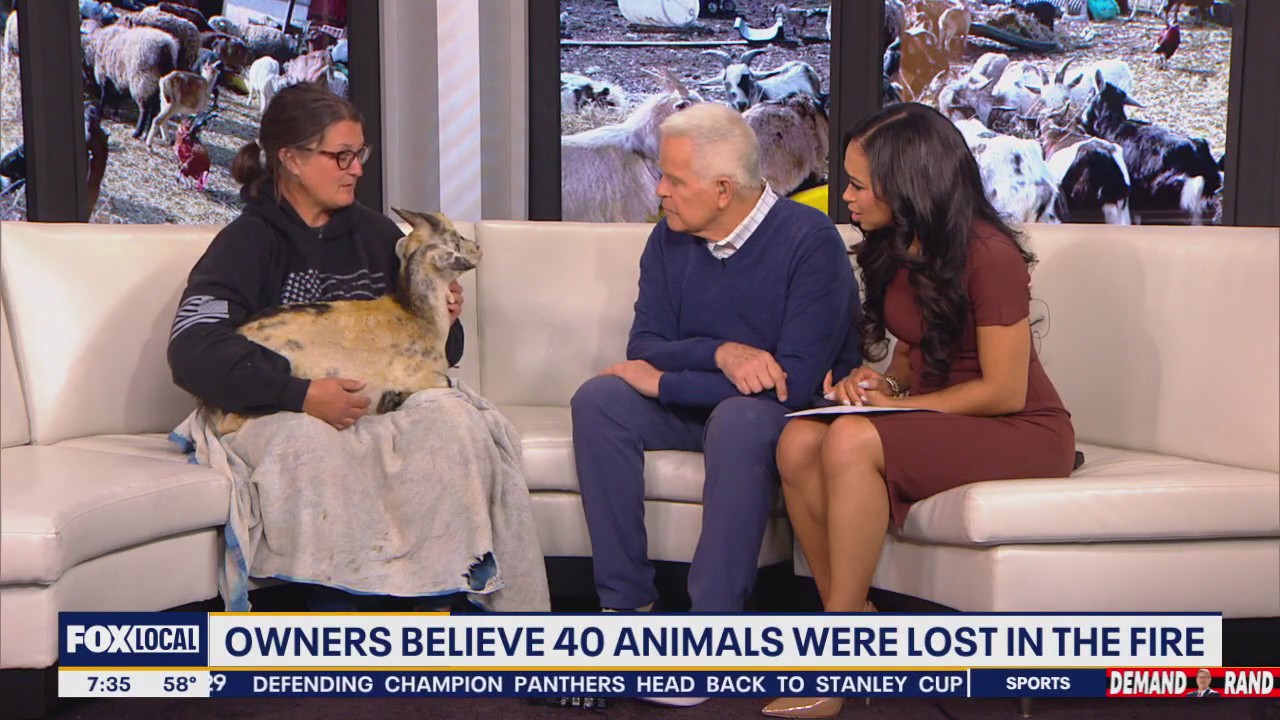 An Animal Sanctuary in Montgomery County Needs Help After Deadly Fire