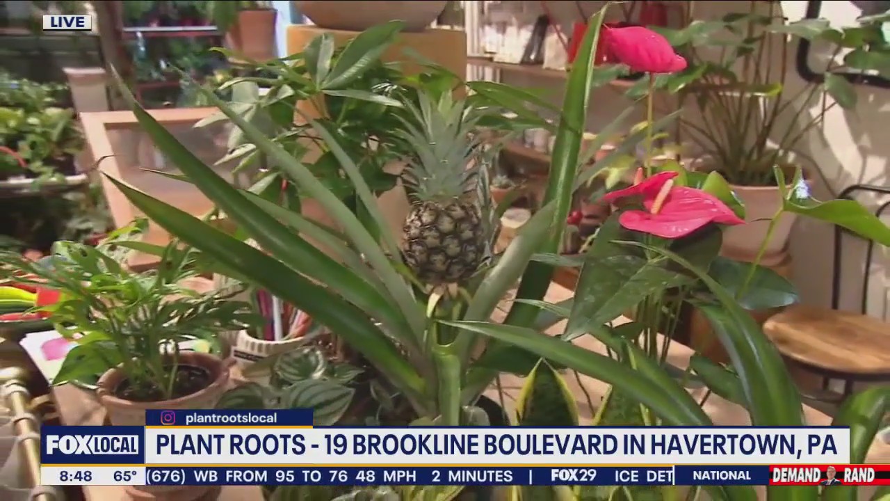 The Bookery Coffeehouse & Plant Roots