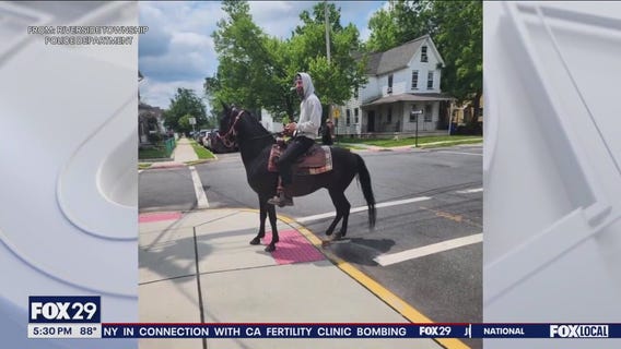Man on horse helped solve a hit-and-run investigation in New Jersey