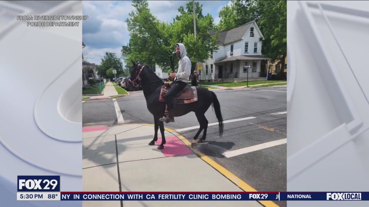 Man on horse helped solve a hit-and-run investigation in New Jersey