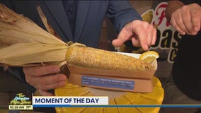 Moment of the Day: Corn Hub