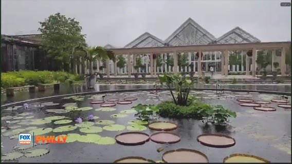 How weather impacts fountain shows at Longwood Gardens | FOX Weather Philly