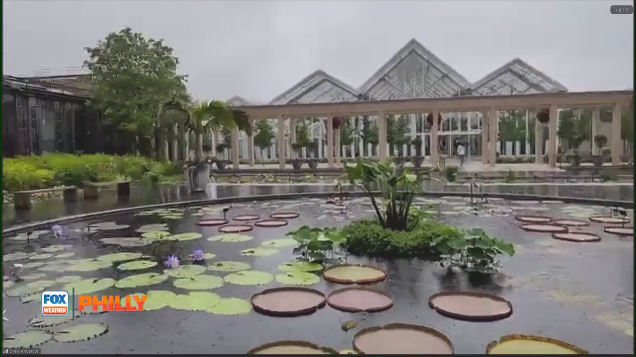 How weather impacts fountain shows at Longwood Gardens | FOX Weather Philly
