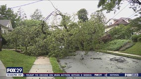 Severe storms take trees, power lines in Delaware County