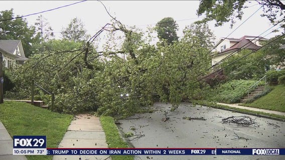 Severe storms take trees, power lines in Delaware County