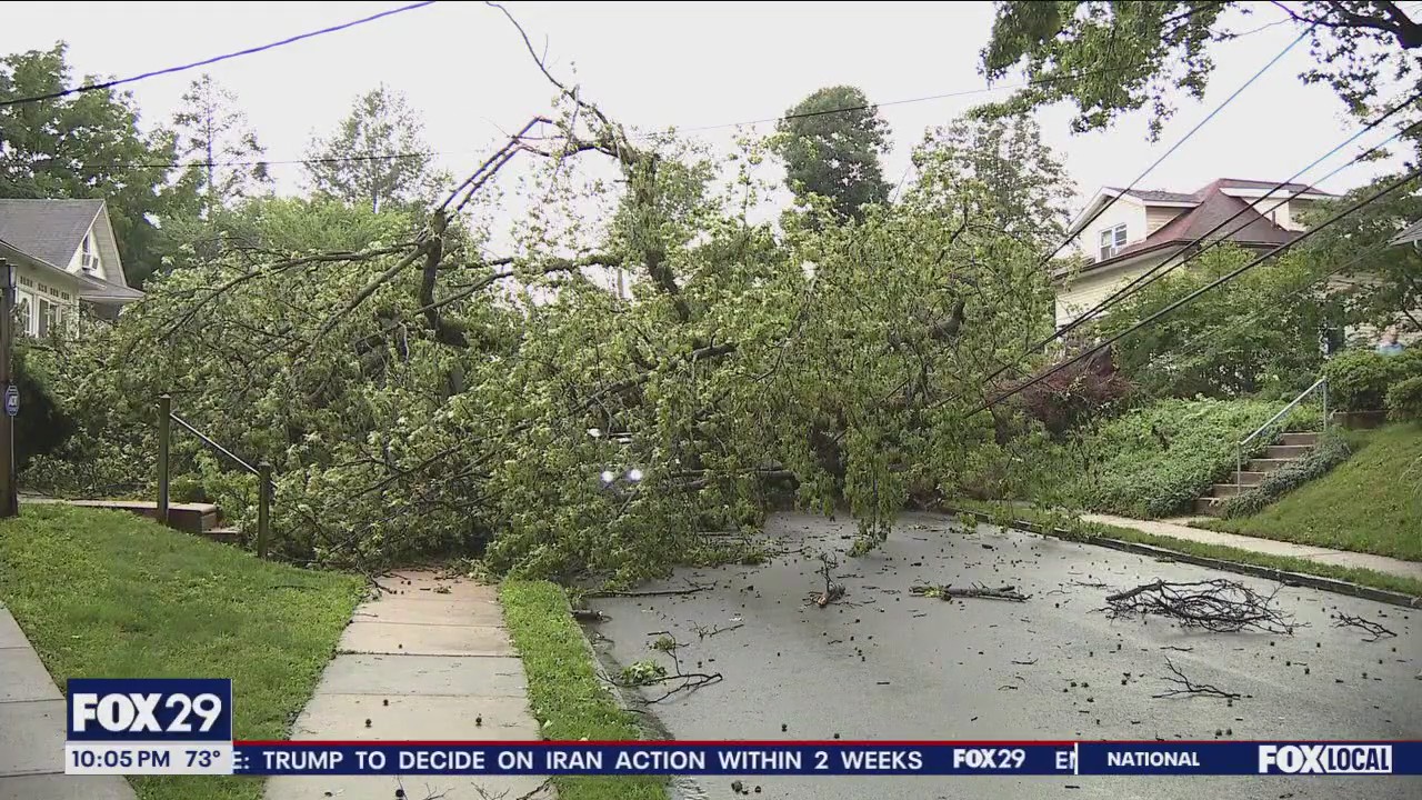 Severe storms take trees, power lines in Delaware County