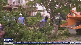 Trees down on cars, in homes in Roxborough, Overbrook