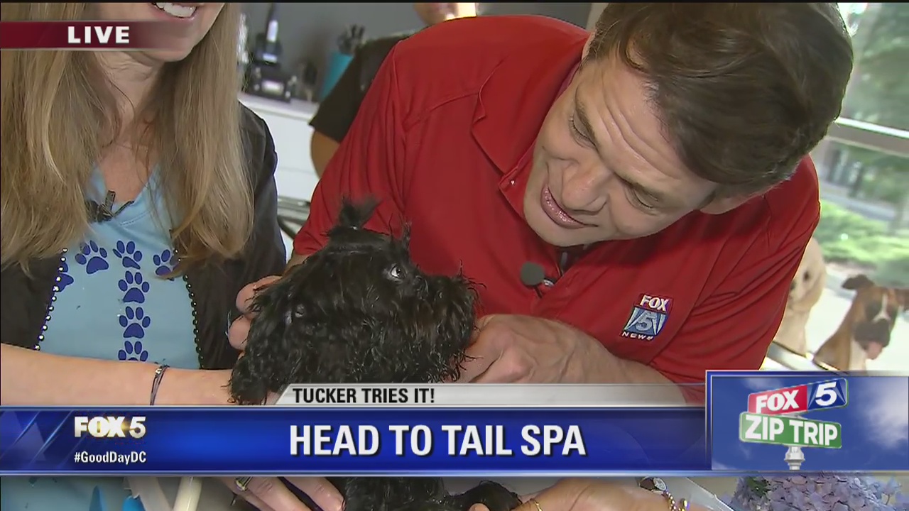 Potomac Yard | Zip Trip: Tucker Tries It