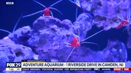 Kaleidoscope Cove Now Open