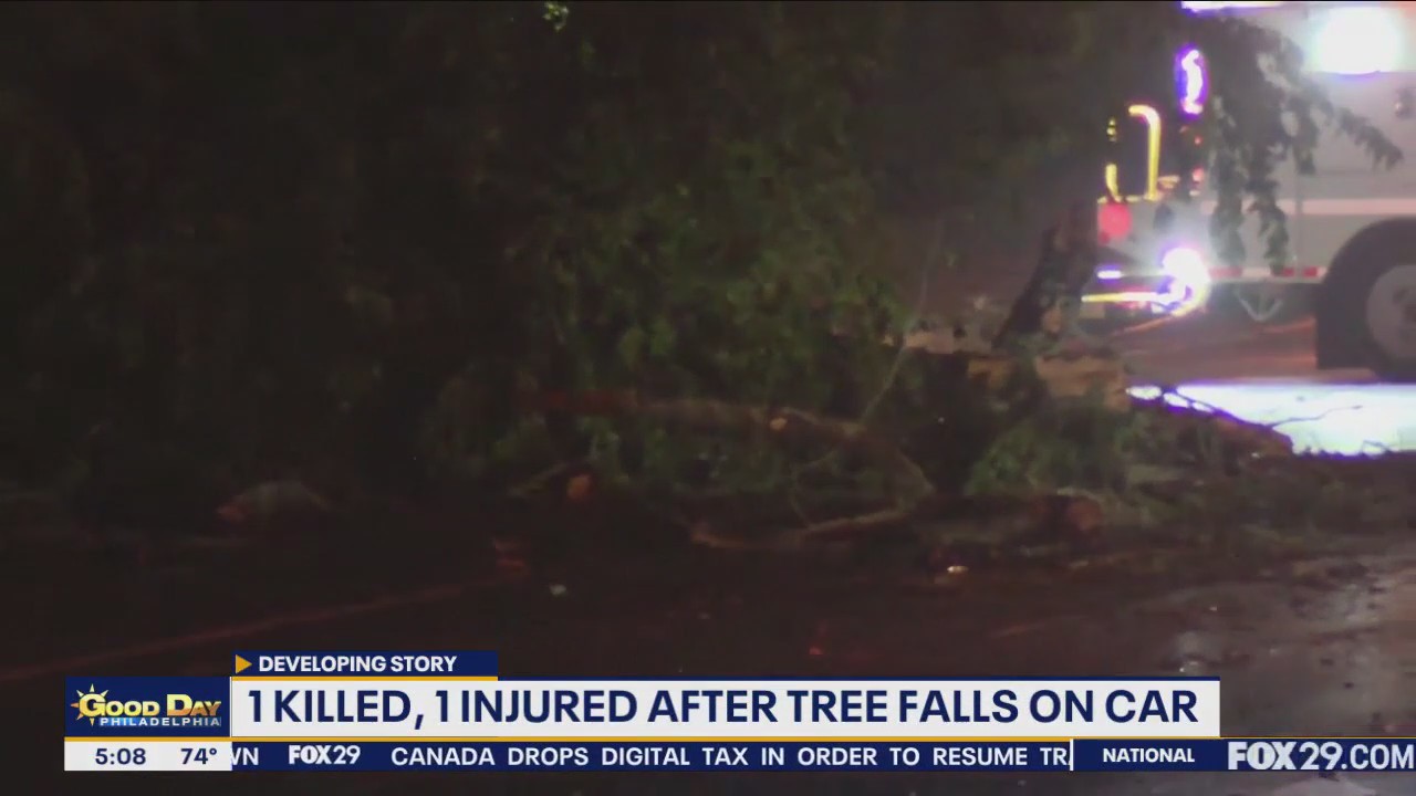 1 killed, 1 injured after tree falls on vehicle in New Castle County