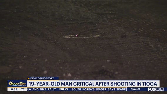 Masked person, vehicle seen fleeing overnight shooting in Tioga: police