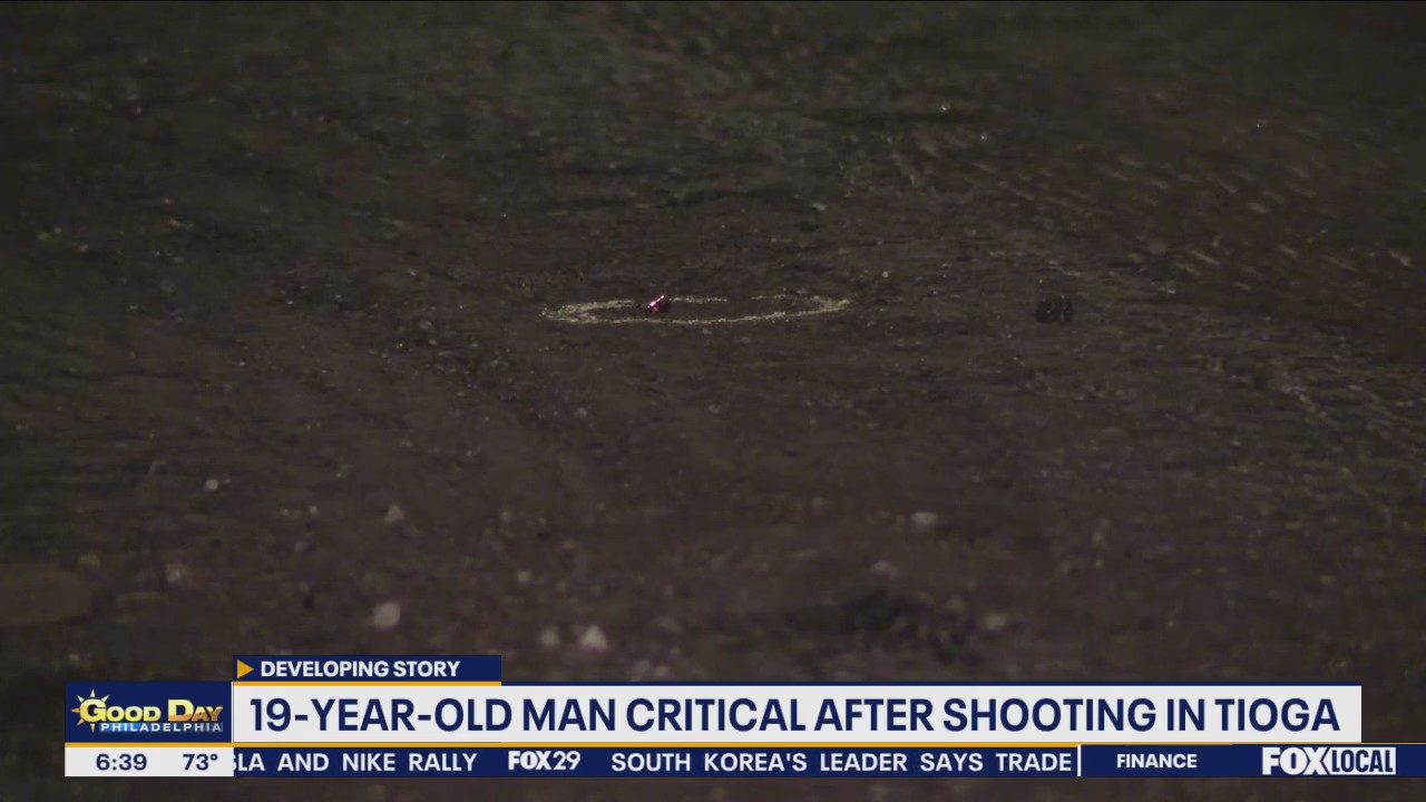 Masked person, vehicle seen fleeing overnight shooting in Tioga: police