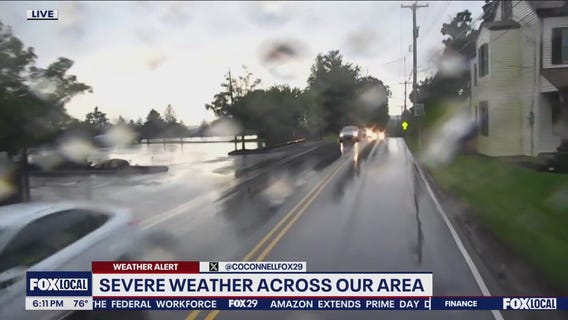 Severe weather floods roadways, topples trees