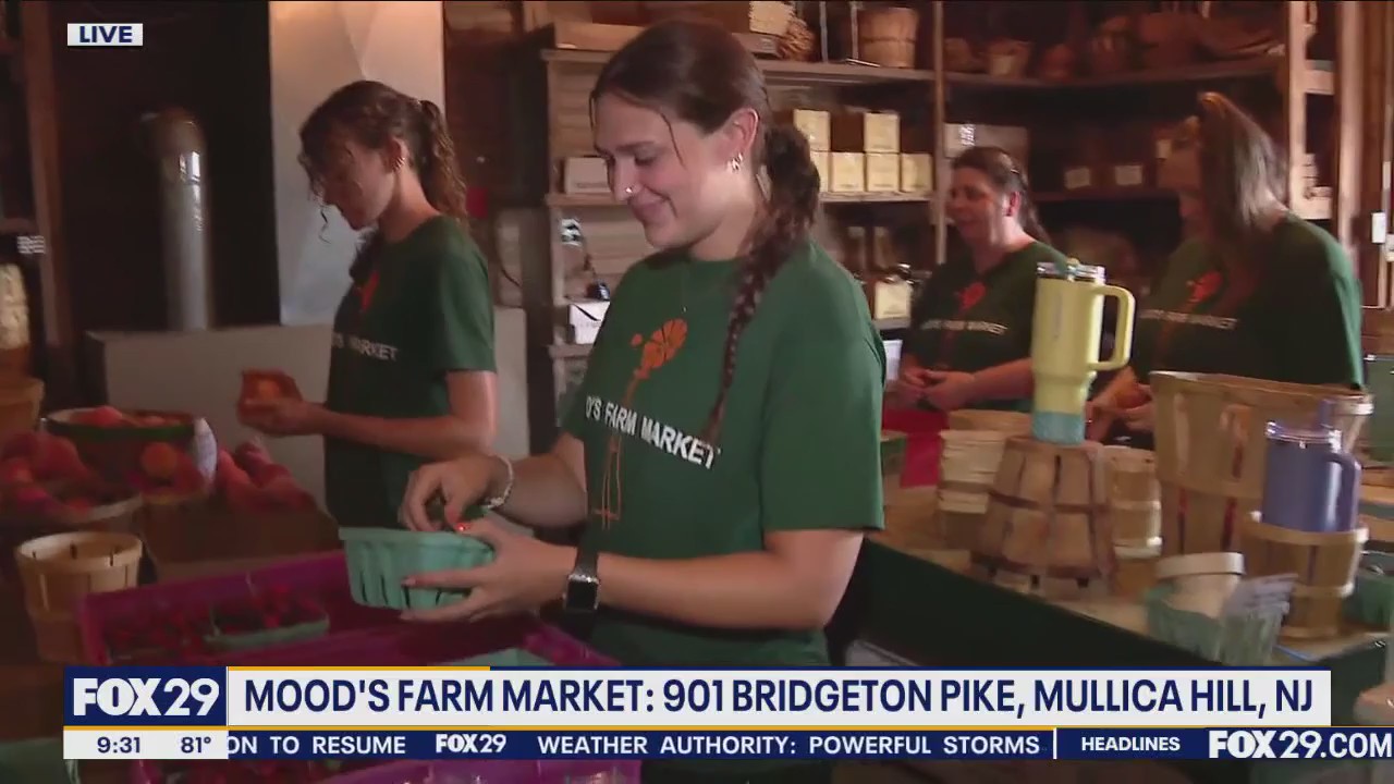 Pick your own fruit at Mood's Farm Market