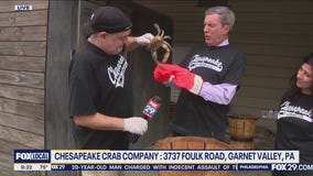 Bob on the Job: Chesapeake Crab Co.