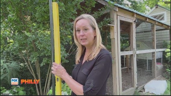 Hanging string lights, benefits of broadleaf plantain | Tuesdays with Toni