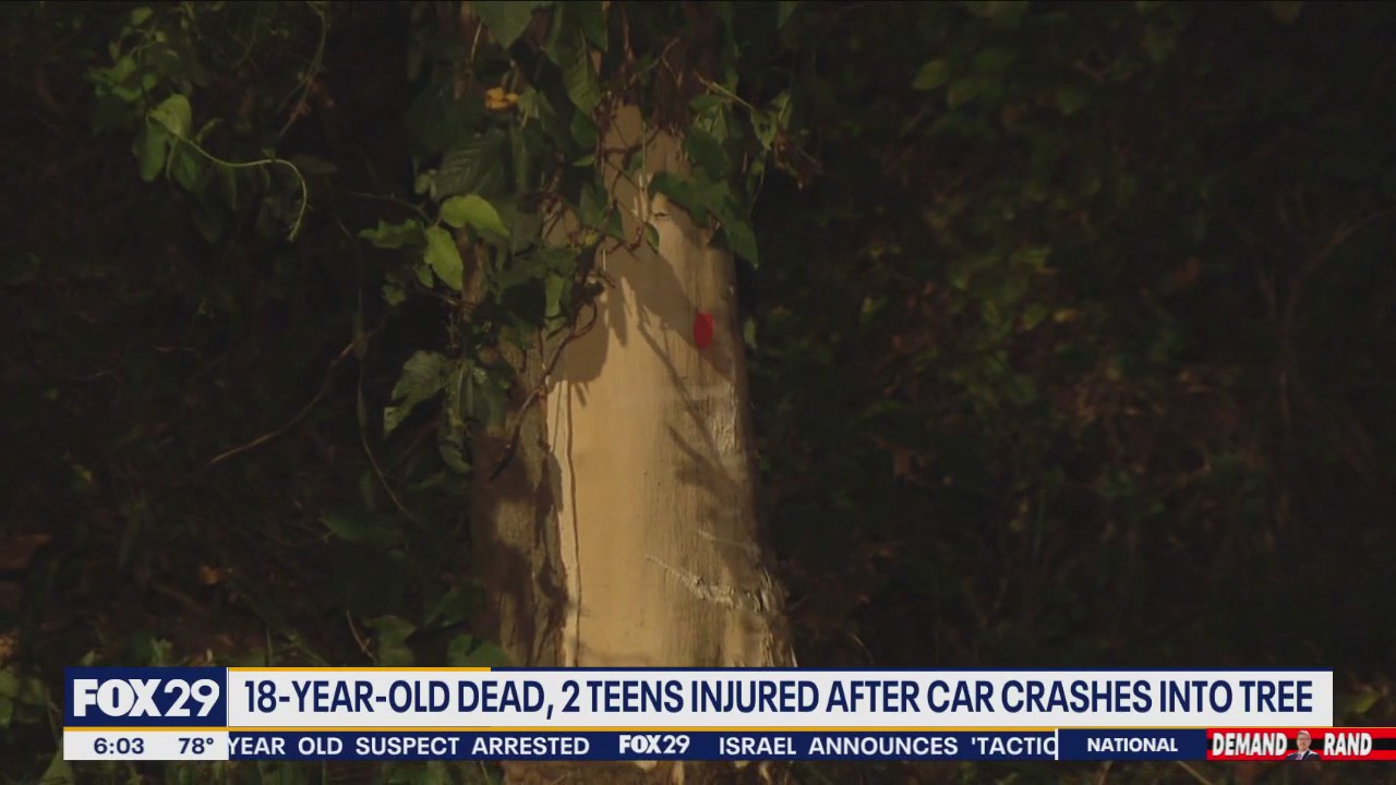 18-year-old dead, 2 teens injured after car crashes into tree in Bucks ...