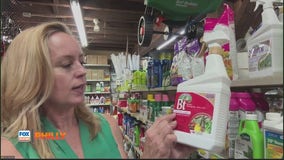 Keeping gardens alive in heat, organic fertilizers | Tuesdays with Toni