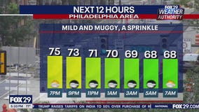 Weather Authority: Wednesday 5 p.m. forecast