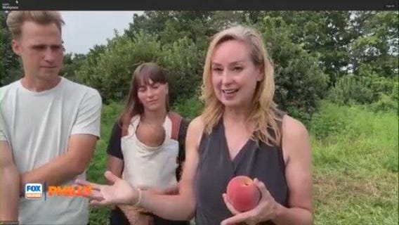 Tuesdays with Toni: Peaches at Folks Farm and Market | FOX Weather Philly
