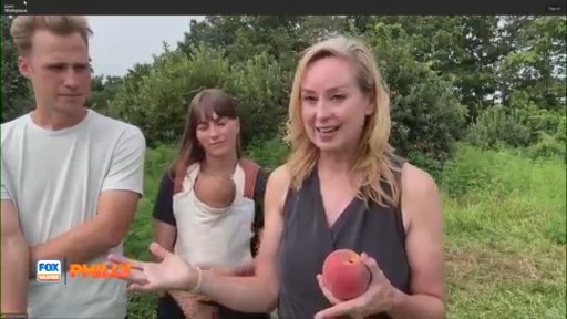 Tuesdays with Toni: Peaches at Folks Farm and Market | FOX Weather Philly