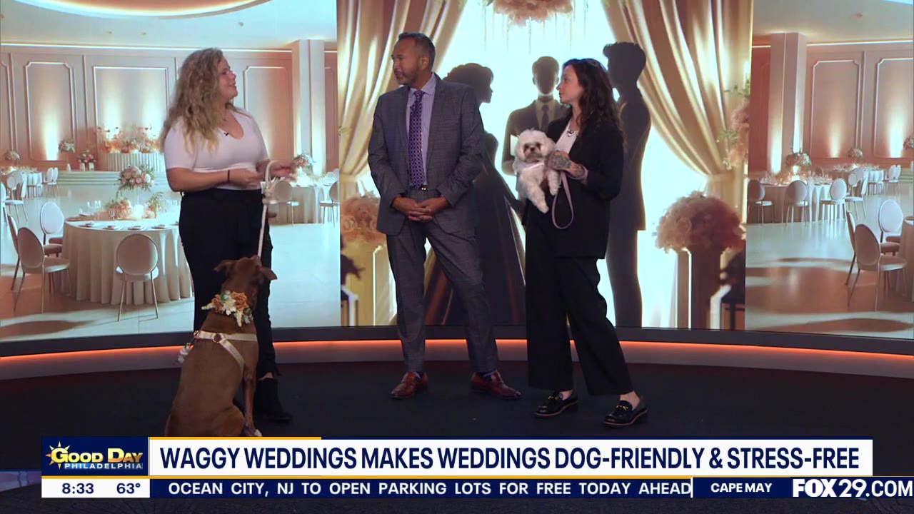 Puppy Love on your Wedding Day!
