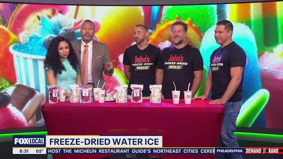 Freeze-Dried Water Ice