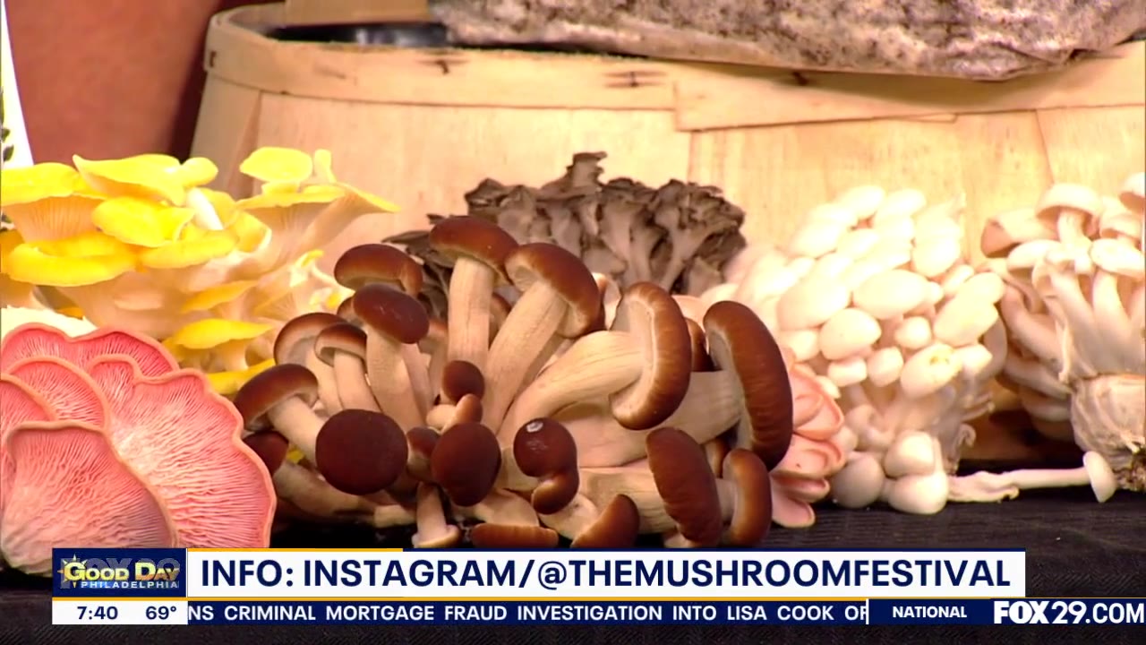 Kennett Square's 40th Annual Mushroom Festival!