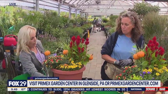 It's Time To Decorate For Fall