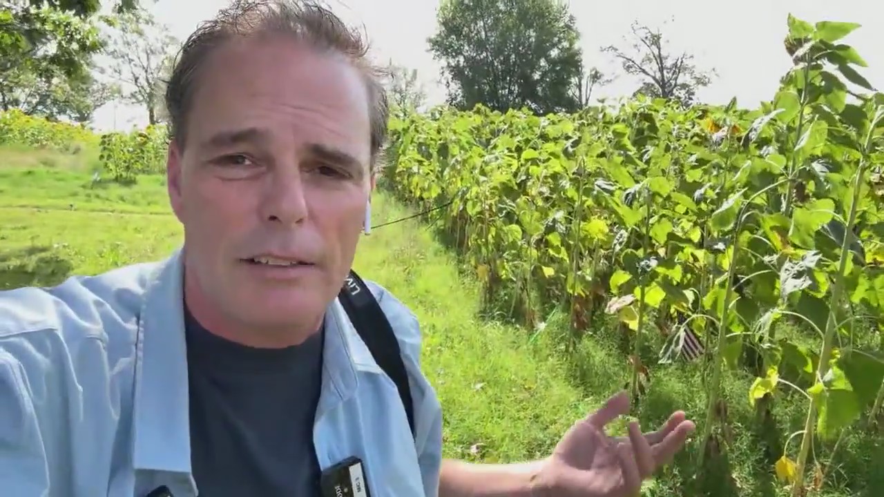 Good Day Uncut: Heroic Gardens