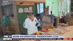 Jenn Takes EVERY Precaution Handling Hot Peppers