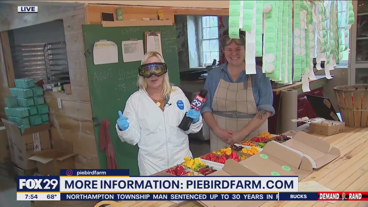 Jenn Takes EVERY Precaution Handling Hot Peppers