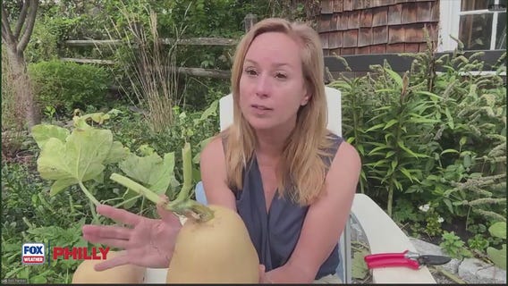 Tuesdays with Toni: It's getting cooler, what do I do with my garden? | FOX Weather Philly