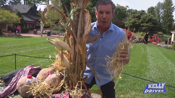 Kelly Drives: Spooky Scarecrows, Baby Gifts, Crazy Cocktails, Record Finding and Sweet Treats!