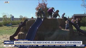 Family Fun At Hellerick's Adventure Farm