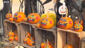 Good Day Uncut: Linvilla Orchards