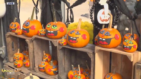 Good Day Uncut: Linvilla Orchards