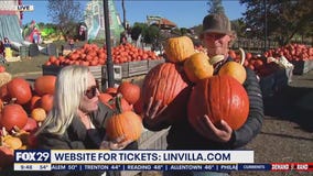 Fall Family Fun at Linvilla Orchards' Pumpkinland